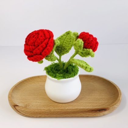 Red Rose Plant Pot