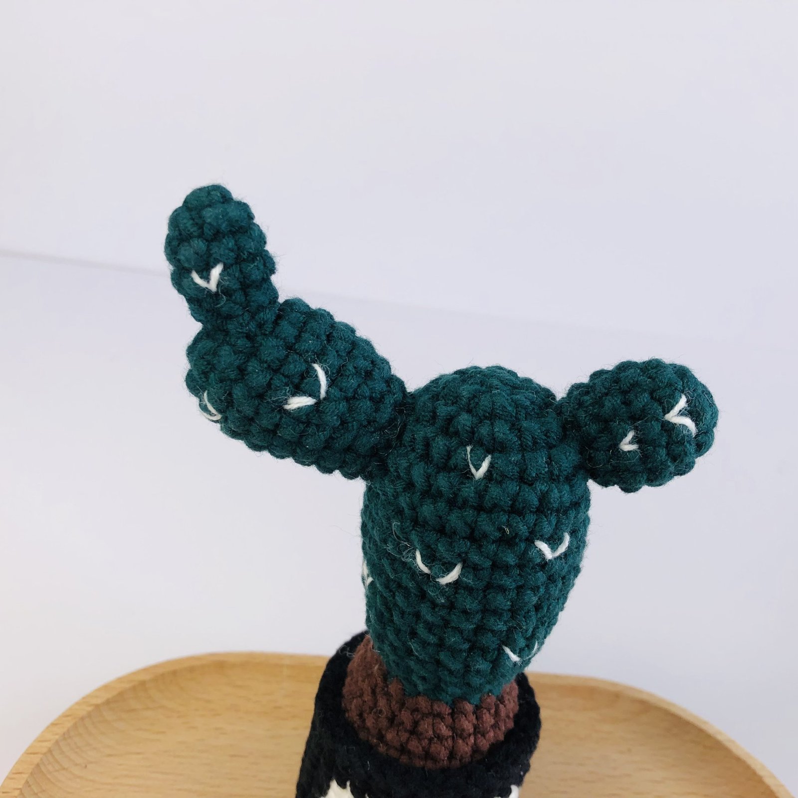 Animal Cactus Pot - Image 4
