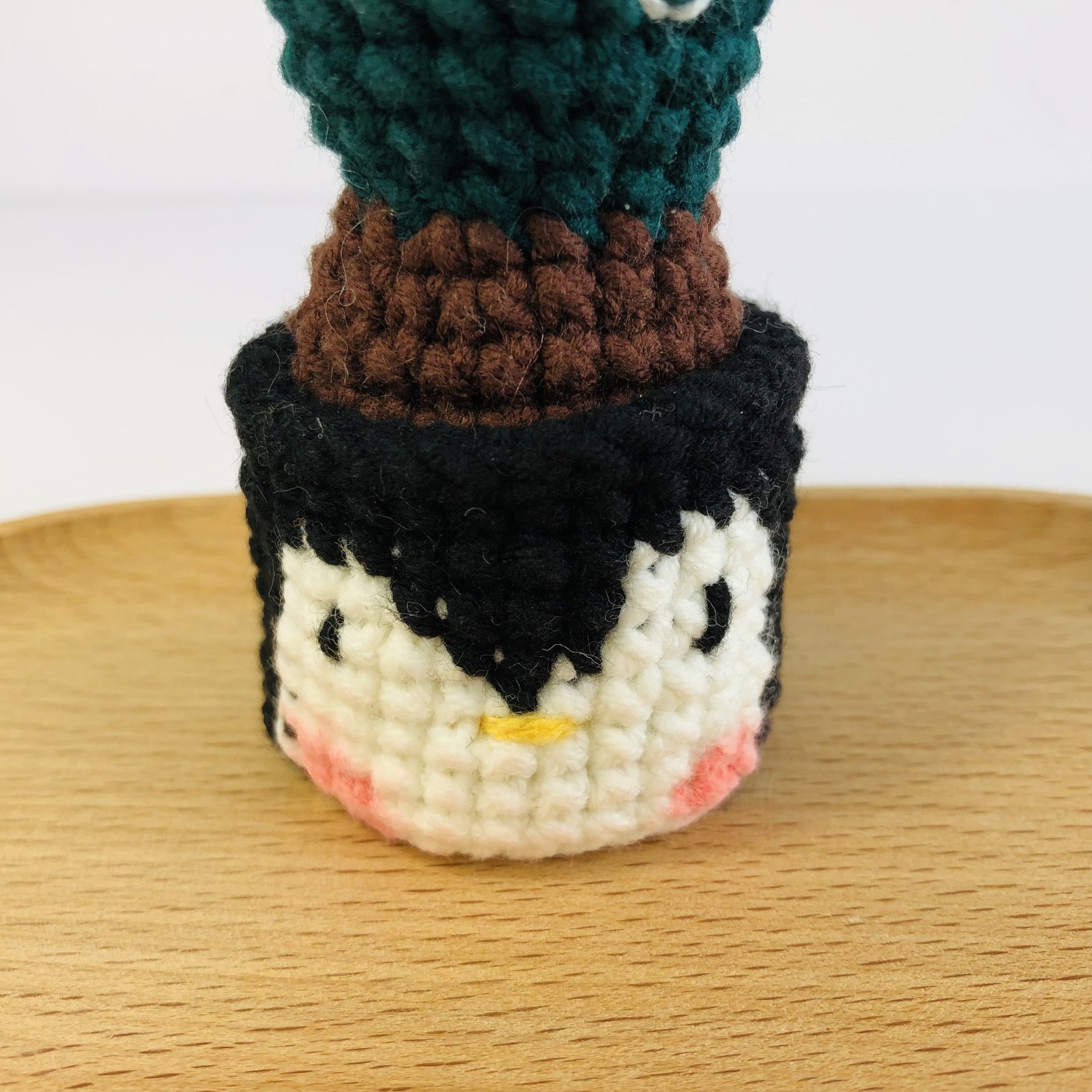 Animal Cactus Pot - Image 5