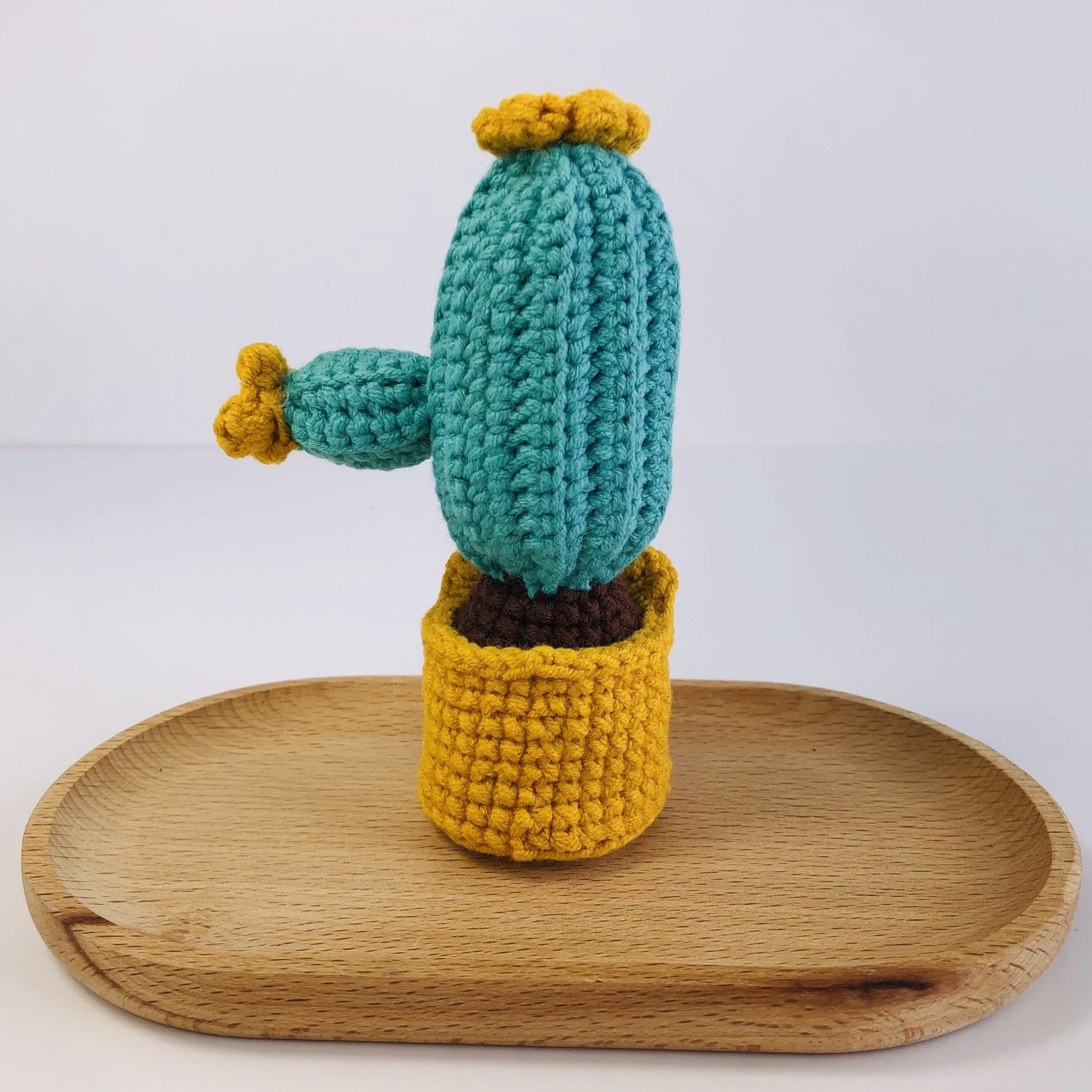 Animal Cactus Pot - Image 15