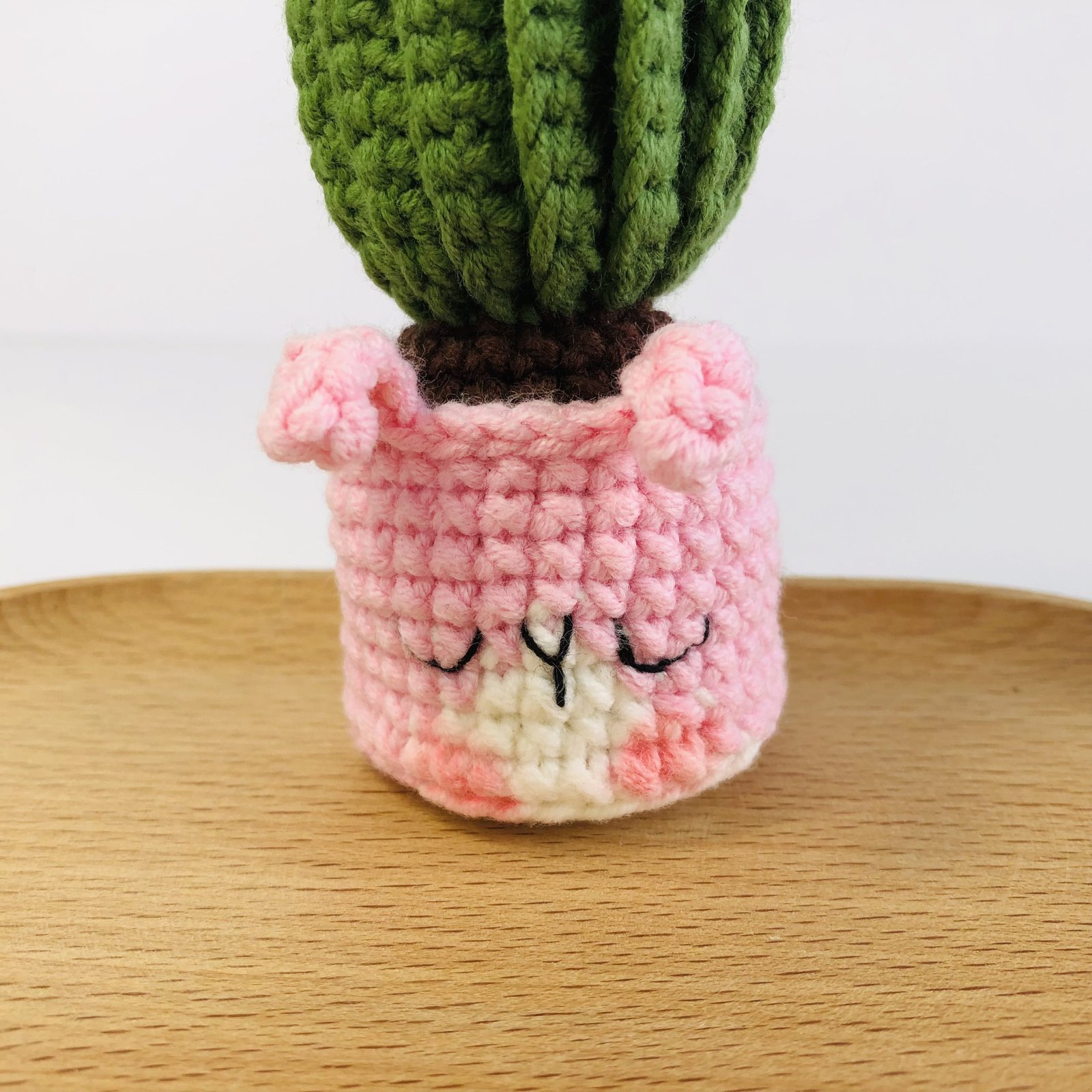 Animal Cactus Pot - Image 10