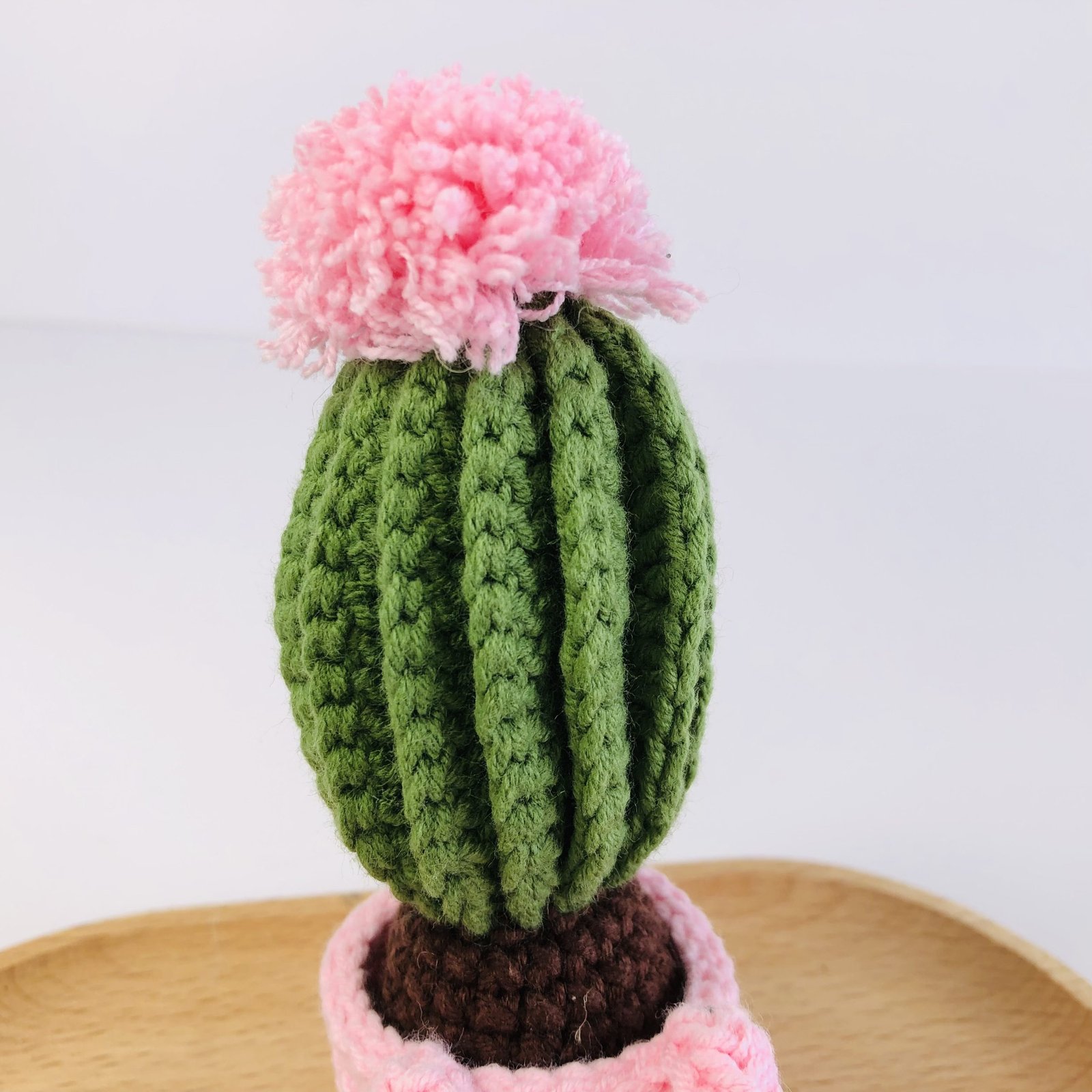 Animal Cactus Pot - Image 12