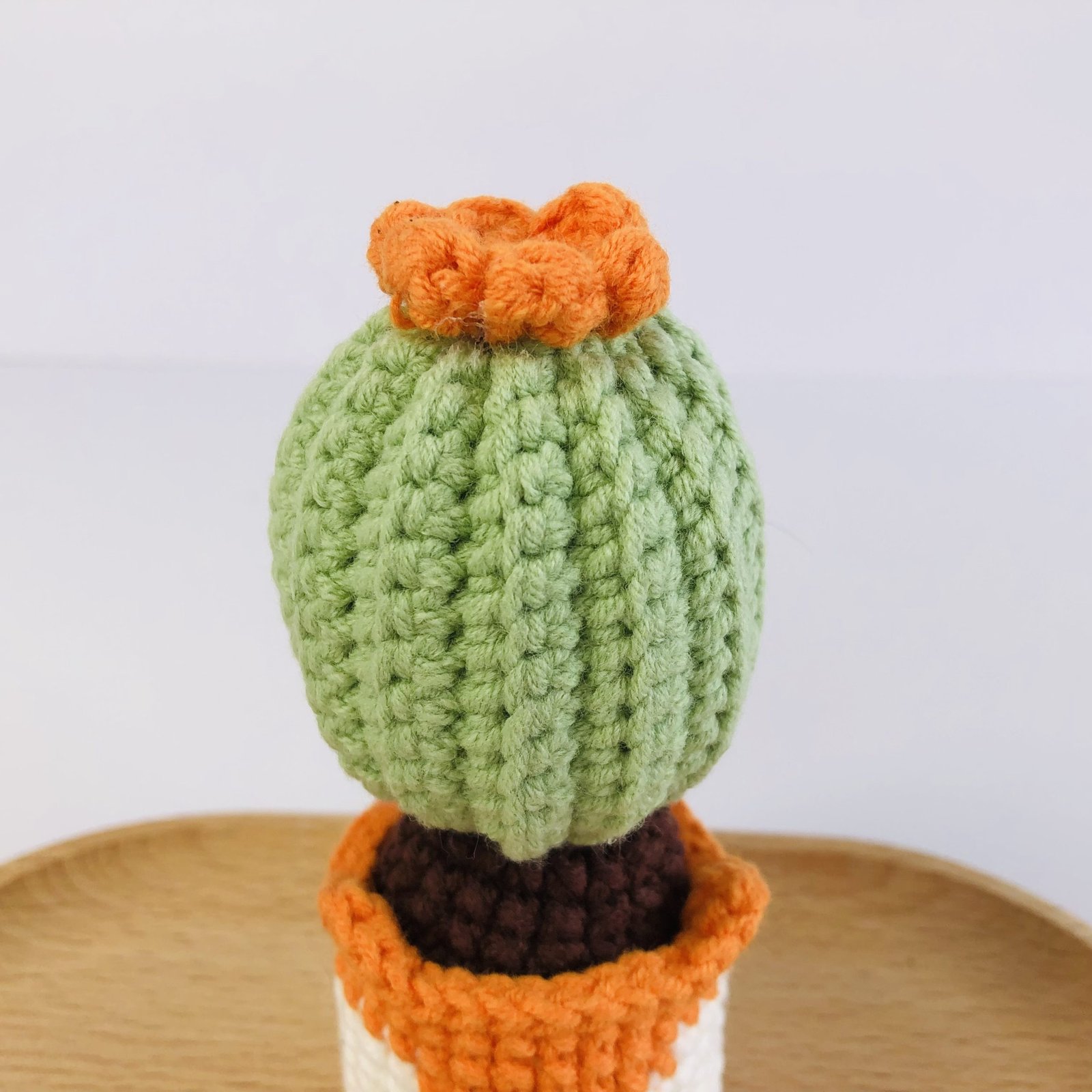 Animal Cactus Pot - Image 8