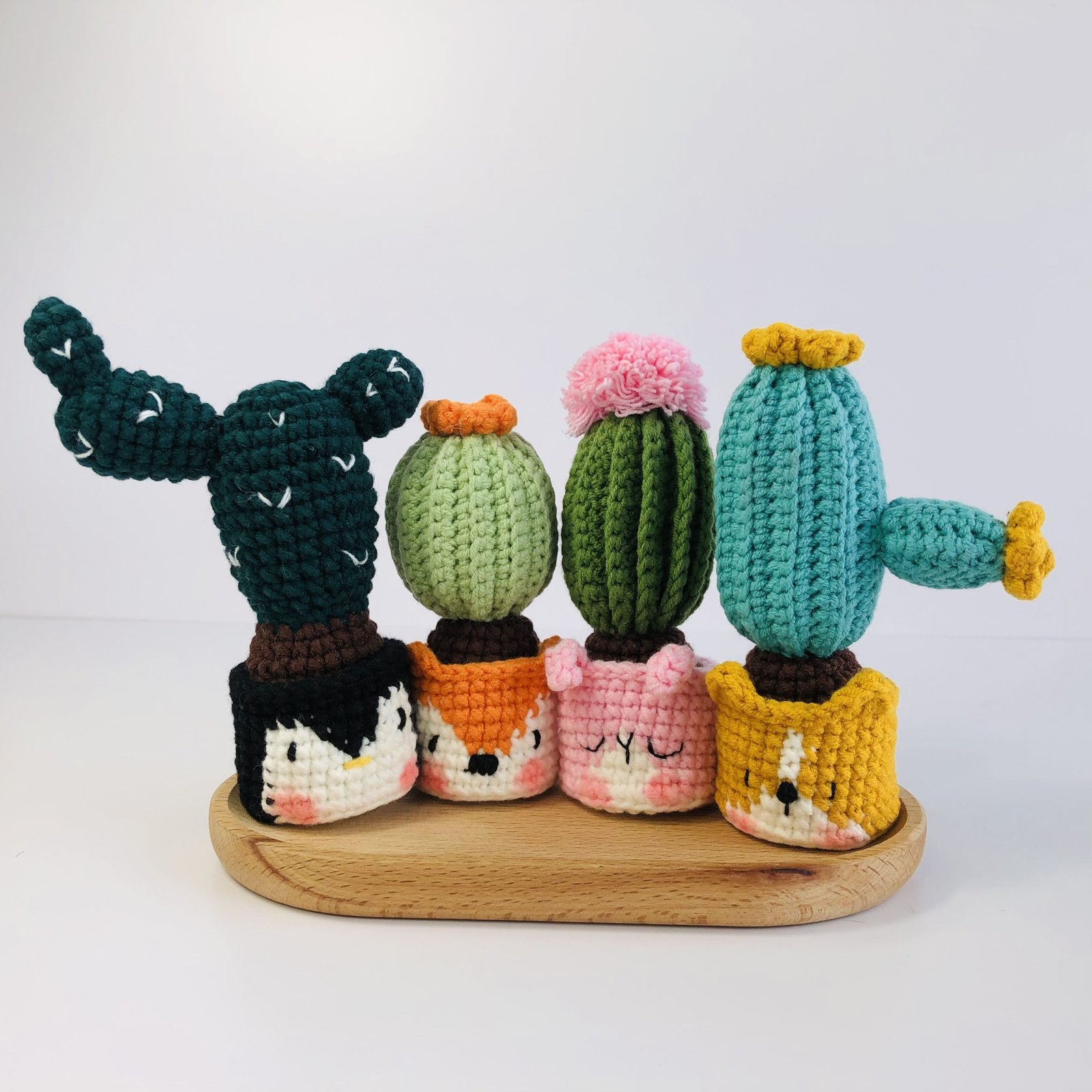 Animal Cactus Pot