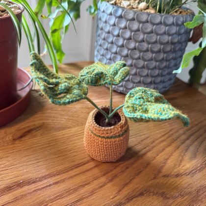 Monstera with Crochet Pot
