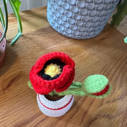 Poppy Crochet Pot